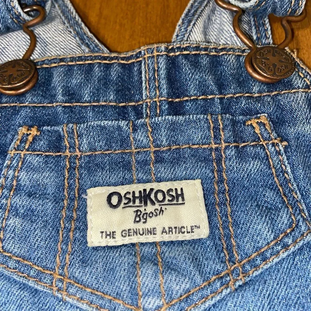 Vintage Oshkosh bib dress